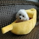 thumbnail image 4 of Banana Cat Bed House Puppy Cojín Kennel Portable Warm Pet Basket Supplies Mat Romacci Perrera, 4 of 7