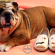 thumbnail image 4 of Zapatos Flats Casual para Dama CHEPINAS MX  Perritos Nude, 4 of 5