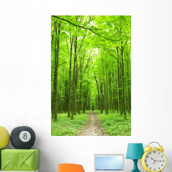 Path Wall Mural by Wallmonkeys Peel and Stick Graphic (48 in H x 32 in W) WM203248