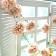 thumbnail image 4 of Dalrosia Paper Pom Pom Garlands, Paper Flowers for Birthday Decorations, Baby Shower, Wedding Engagement, Bridal Shower, Spring Summer Party Decorations, 4 of 8