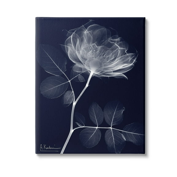 Stupell Industries Dynamic Dark Flower Botanical & Floral Photography Gallery Wrapped Canvas Art Print Wall Art, 16 x 20