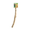 thumbnail image 4 of Prevue Pet Products 18 inch Straight Branch Coffea Wood Bird Perch 1042, 4 of 4