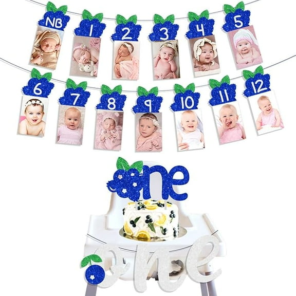 Blueberry Birthday Party Decorations for 1 Boys and Girls Blueberry Decorations for Birthday Party Baby Shower Fruit Theme Party Supplies Blueberry Glitter Banner Blueberry Photo Banner Cake Topper
