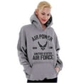 thumbnail image 3 of Us Air Force USAF Power Wings Logo Unisex Plus Fleece Graphic Hoodie Brisco Brands 2X, 3 of 5