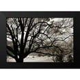 thumbnail image 2 of Hausenflock, Alan 18x13 Black Modern Framed Museum Art Print Titled - Approaching Storm II, 2 of 5
