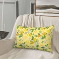 thumbnail image 4 of Plush Throw Pillow Covers, Lemon (2) Pillow Cases with Invisible Zipper, Breathable Microfiber Pillow Cases Standard Size for Sleeping Bedroom Sofa Living Room 16x24, 4 of 5