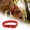 Red, variant on Adjustable PVC Dog Collar, Waterproof Chew Proof Pet Collar with Double Buckle, Heavy Duty D Ring Strap for Small Medium Large Dogs, 21.7 Inches