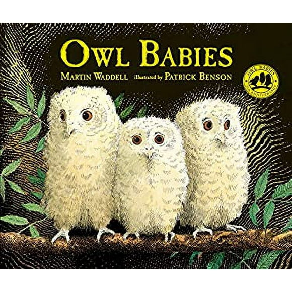 Pre-Owned Owl Babies 9780763695194