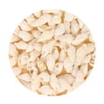 thumbnail image 2 of Ocean Beach Spiral Seashells, Natural Craft Seashell Charms Small Conch Shells for Home Party Wedding Decor Candle Making Fish Tank Vase Filler (50g/0.11lb), 2 of 8