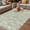 Green, variant on Black White Lines Outdoor Rug for Patio/Deck/Porch, Non-Slip Large Area Rug 5 x 8 Ft, Retro Stripes Texture Minimalist Art Indoor Outdoor Rugs Washable Area Rugs, Reversible Camping Rug Carpet Runner