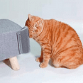 thumbnail image 2 of Extended (6.1Inch) 2 Pack Cat Self Groomer for Indoor Cats Cat Face Scratchers Wall Corner Self Grooming Cat Brush, 2 of 6
