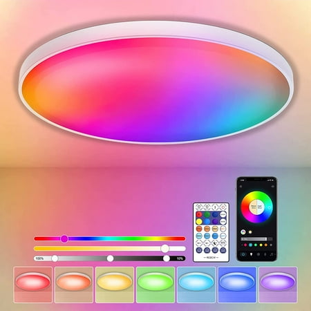 

Hitish 12 inch Flush Mount LED Ceiling Light Fixture 24W 2200LM LED Ceiling Light with Smart APP & Remote Control Dimmable Ceiling Lamp with 3 Color Temperatures for Bedroom Living