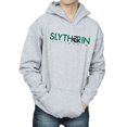 thumbnail image 3 of Harry Potter Boys Slytherin Text Hoodie, 3 of 5