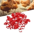 thumbnail image 1 of Chicken Leg Bands, 100PCS Plastic Chicken Identification Leg Bands, 20mm 001 to 100 Numbered Poultry Leg Bands for Ducks, Chicks, Goose, Gamefowl, Turkey, 1 of 7