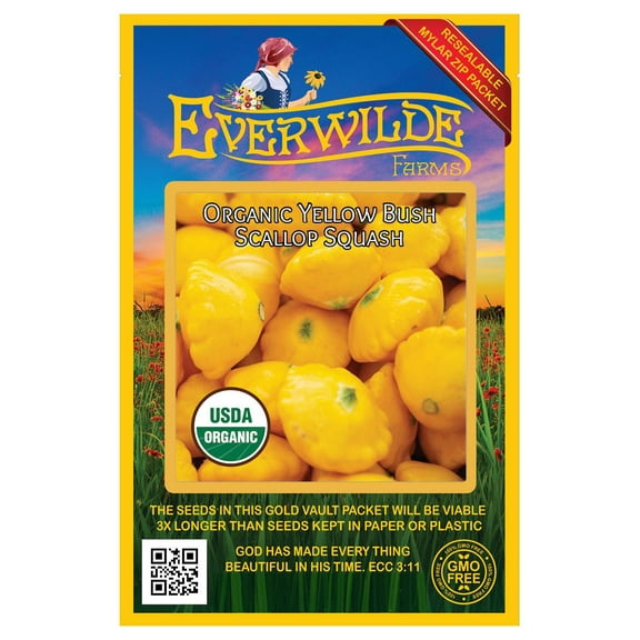 Everwilde Farms - 20 Organic Yellow Bush Scallop Summer Squash Seeds - Gold Vault Jumbo Bulk Seed Packet