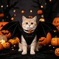 thumbnail image 5 of Pet Cat Bat Wings for Halloween Party Decoration, Cute Festival Dress‑Up Outfit, Photo‑Shoot Costume Accessory for Puppy Kitty Small Pets, 5 of 5