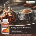 Best Naturals Cinnamon 500 mg 250 Capsules