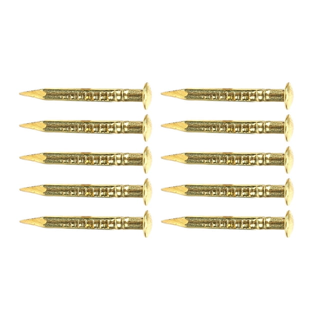 Round Head Nail, Strong Fastening Function Brass Nails Easy Installation Hardware Accessories Fine Workmanship Replacement Parts for Home Furniture Hinges