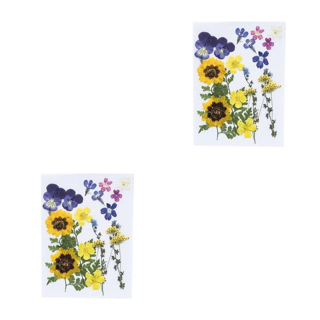 Matsuzay Flores secas naturales Artesanías hechas a mano Ramos en relieve Flores prensadas Hermoso adorno Presente para tarjetas de boda Tipo 4 2piezas
