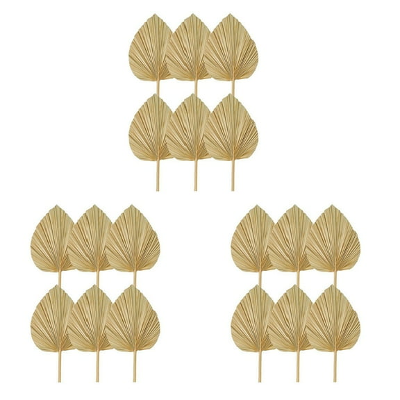 18PCS Dried Palm Leaves Natural Dried Palm Fans,Large Palm Spear for Boho Wedding Decor,Tropical Palm Leaves S
