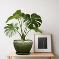 thumbnail image 6 of Ordivic 6 inch Dark Green Small Ceramic Planter with Drainage & Saucer,Modern Indoor Pot for Cactus,Office Desk & Windowsill Decor, 6 of 8
