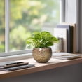 thumbnail image 3 of Ordivic 4 inch Brown Ceramic Planter with Drainage Hole & Plug, Small Desktop Plant Pot for Mini Pothos, Baby Aloe,Jade Plant ,Bedroom Dorm Office Indoor Decor, 3 of 7