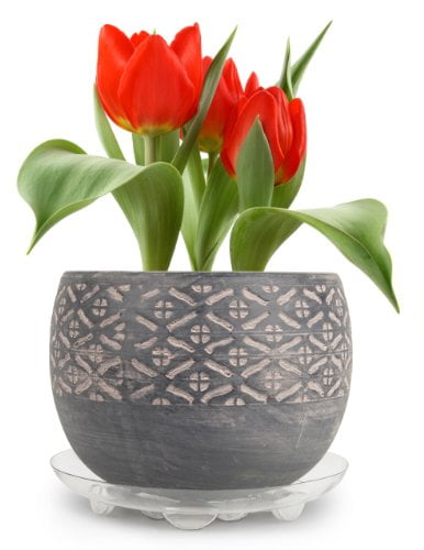 Akro-Mils Classic Saucer Dark Green 14 Inch 12414dg for sale online 