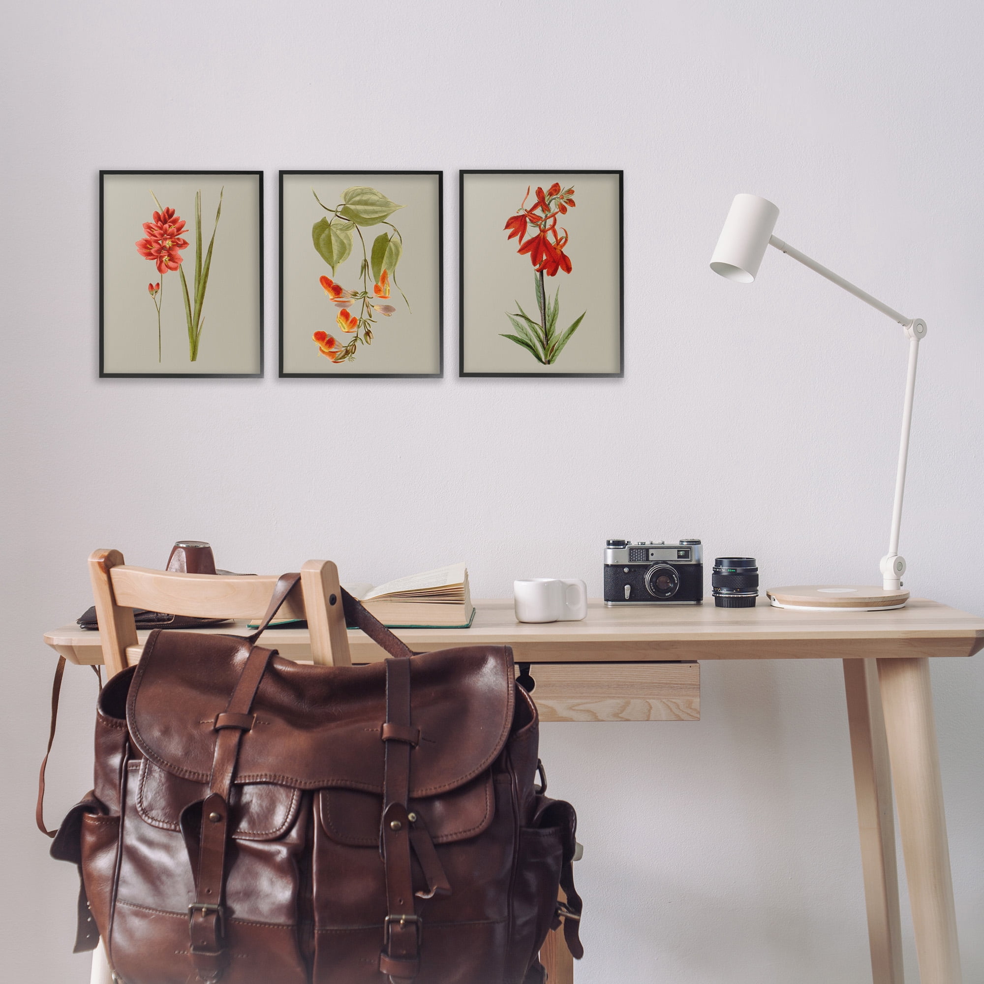 Stupell Industries Woodland Flower Study Botanical & Floral Painting Black Framed Art Print Wall Art, 11 x 14, Set of 3