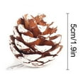 thumbnail image 4 of Fwttom Christmas Tree Decorations Pine Cones, 9Pcs Natural Pinescones With White Edges Christmas Tree Ornaments Set, Christmas Decorations for Xmas Tree, Holiday, Party, 4 of 4