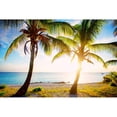 thumbnail image 3 of Bryant, Susan 24x17 Black Modern Framed Museum Art Print Titled - New Bimini, 3 of 5