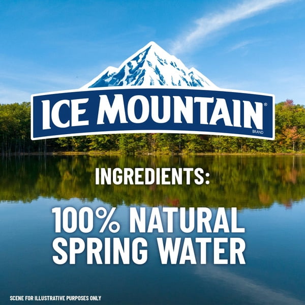 ICE MOUNTAIN Natural Spring Water, 16.9 fl oz Bottles, 12 Pack