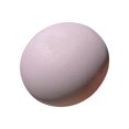 thumbnail image 1 of JNHKLASR Large Dumpling,Steam Bread Stress Relieving toy,Handmade Pressure Reducing toy,for Desk Decor Or Gift, 1 of 5
