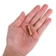 thumbnail image 5 of FELTECHELECTR 1Par Tornillos Para Mango De Cuchillo En Acero Inoxidable Dorado Para Reparación Y Uso Doméstico, 5 of 8