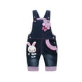 thumbnail image 1 of KIDSCOOL SPACE Baby Girl Cute 3D Bunny Jean Leisure Overalls,3-6 Months, 1 of 7