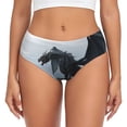 thumbnail image 1 of Fotbe Valley Gray Dragon Calzones Estampados para Mujer – Ropa Interior de Algodón, Cómoda, Suave y Elástica-Medium, 1 of 6
