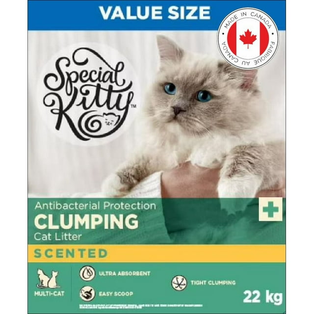 Special Kitty Antibacterial Protection Clumping Cat Litter - Scented 22kg