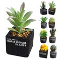 thumbnail image 2 of Coofit Artificial Succulent Mini Plastic Decorative Artificial Plant Fake Plant, 2 of 6