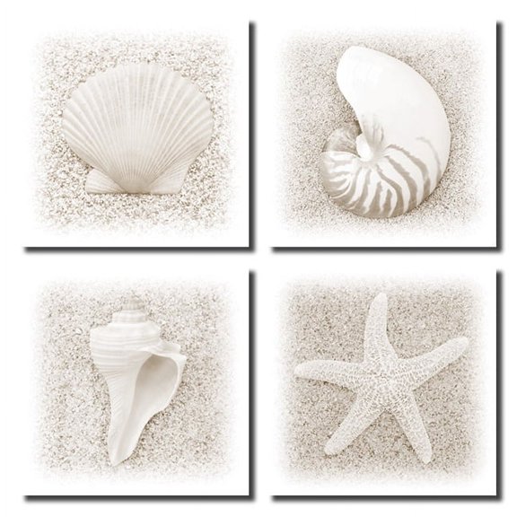 In the Sand | Lovely Starfish Conch and Sea Shell Prints; Four 12x12 Poster Prints