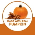 thumbnail image 4 of Krusteaz Pumpkin Spice Muffin Mix, Pumpkin Spice Muffins Made With Real Pumpkin, 15 oz Box, 4 of 10