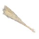 thumbnail image 4 of Gypsophila Bouquet Natural Dried Flower Decoration Dried Flower Holiday Gift, 4 of 5