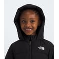 thumbnail image 3 of Parka The North Face para niños North Down con forro polar con relleno 600, 3 of 6