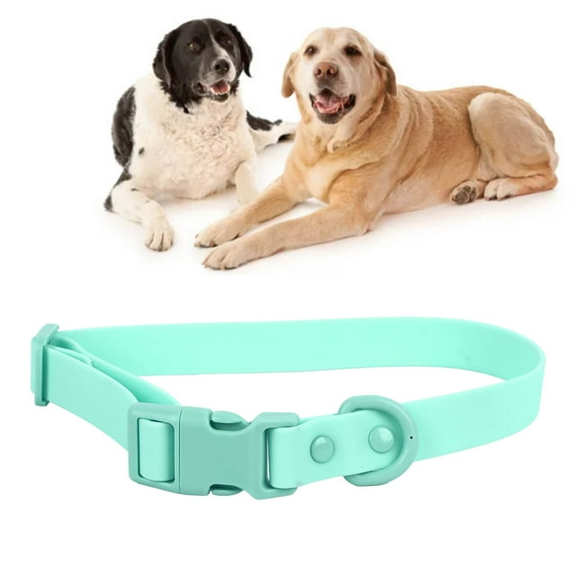 Collier pour Chien Rembourré de 2 cm, Collier Solide, Collier de Base pour Chien, Colliers pour Animaux en PVC, Colliers Colorés pour Chat, pour Chiot, Chiens Moyens, Extérieur et Extérieur