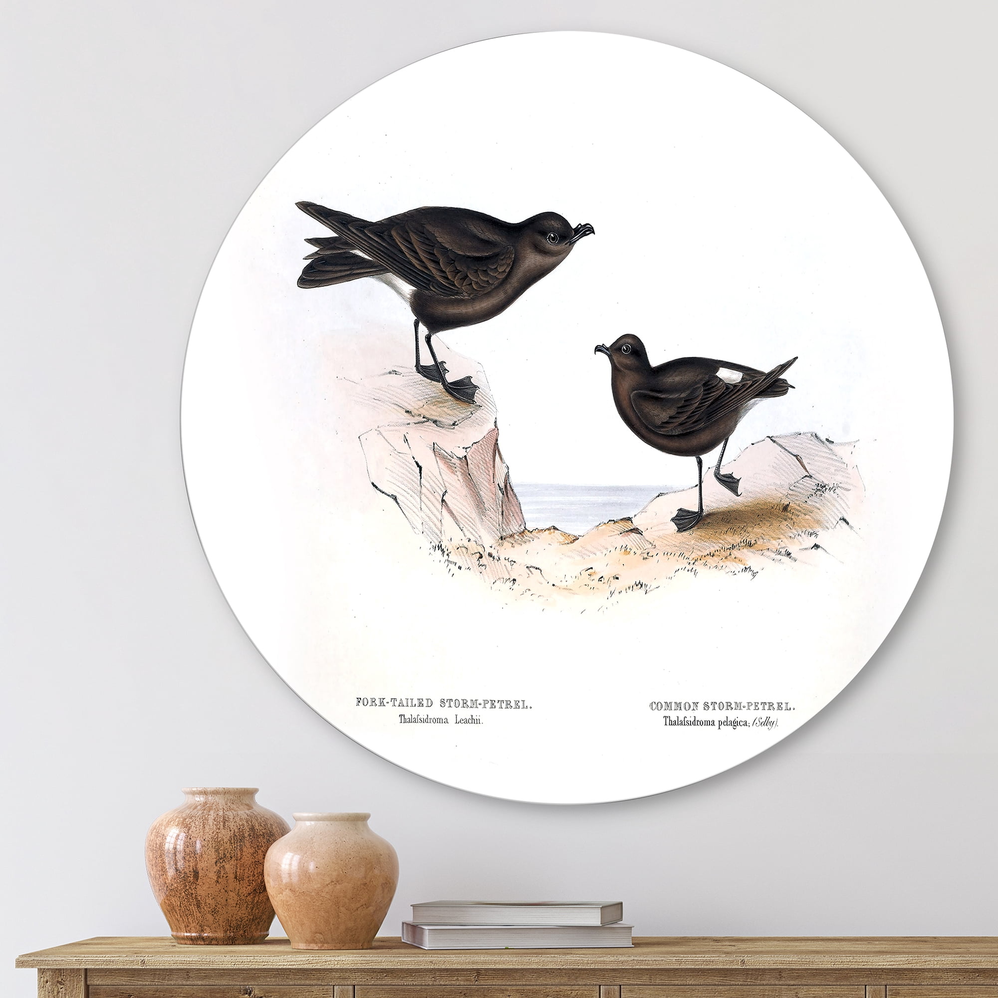 Designart 'Ancient Bird Of Europe III' Traditional Circle Metal Wall Art 11x11 - Disc of 11