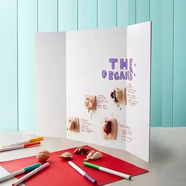 YAOMOBB Tabletop Poster Display Board Small Trifold Poster Boards 4 Pcs Corrugated Display Board Business Presentation Panels