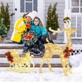 thumbnail image 4 of Patiojoy Lighted Christmas Reindeer & Sleigh Pre-lit Holiday Outdoor Decoration w/100 Warm Lights 8 Ground Stakes 30 Cable Ties Light-up Santa Sleigh & Reindeer, 4 of 10