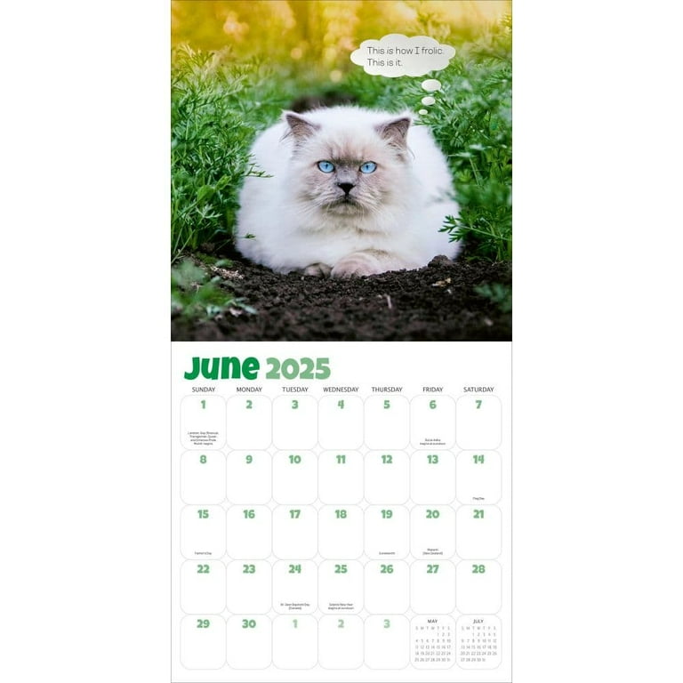 2025 Desktop Calendar - International Cats Theme With Multi-Language Month View