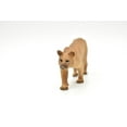 thumbnail image 5 of Puma, Cougar, Mountain Lion, Museum Quality Plastic Replica 5" M127-B648, 5 of 7