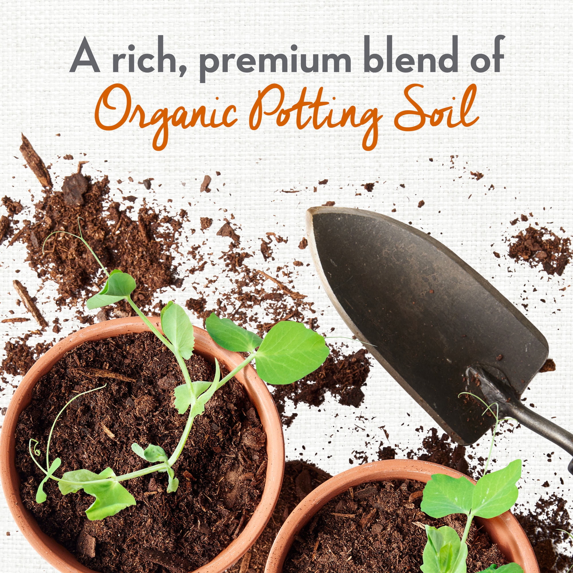 Image of Potting soil image 8
