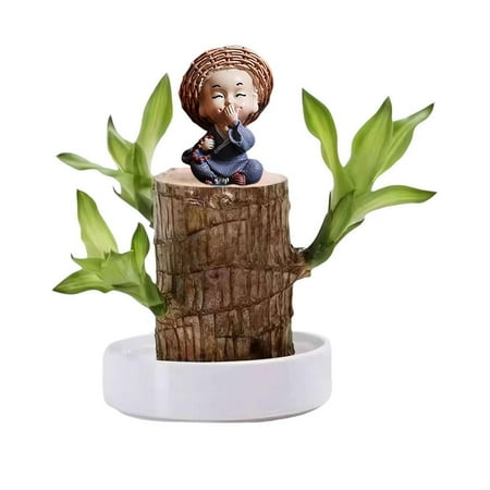

Brazilian Wood Easy Grow Wood Easy Care Brazilian Wood Hydroponic Wood Tree Brazilian Wood Housewarming for New Home Knitting Ornament Smart Ornament Retro Ornament Set Glass Christmas Ornament