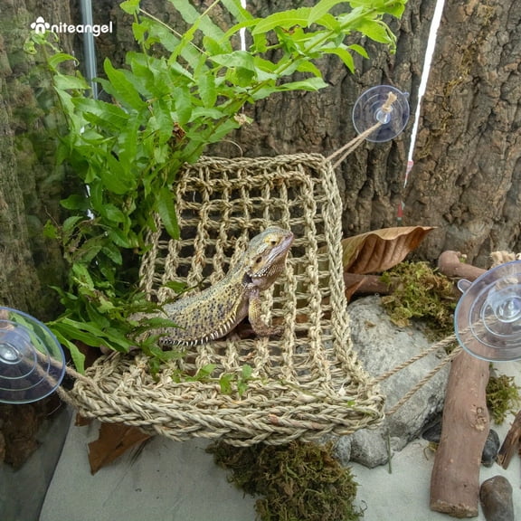 Large Reptiles Hammock | Bearded Dragon Tank Accessories